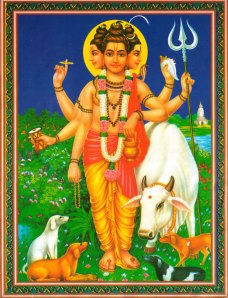 datta511 datta511
